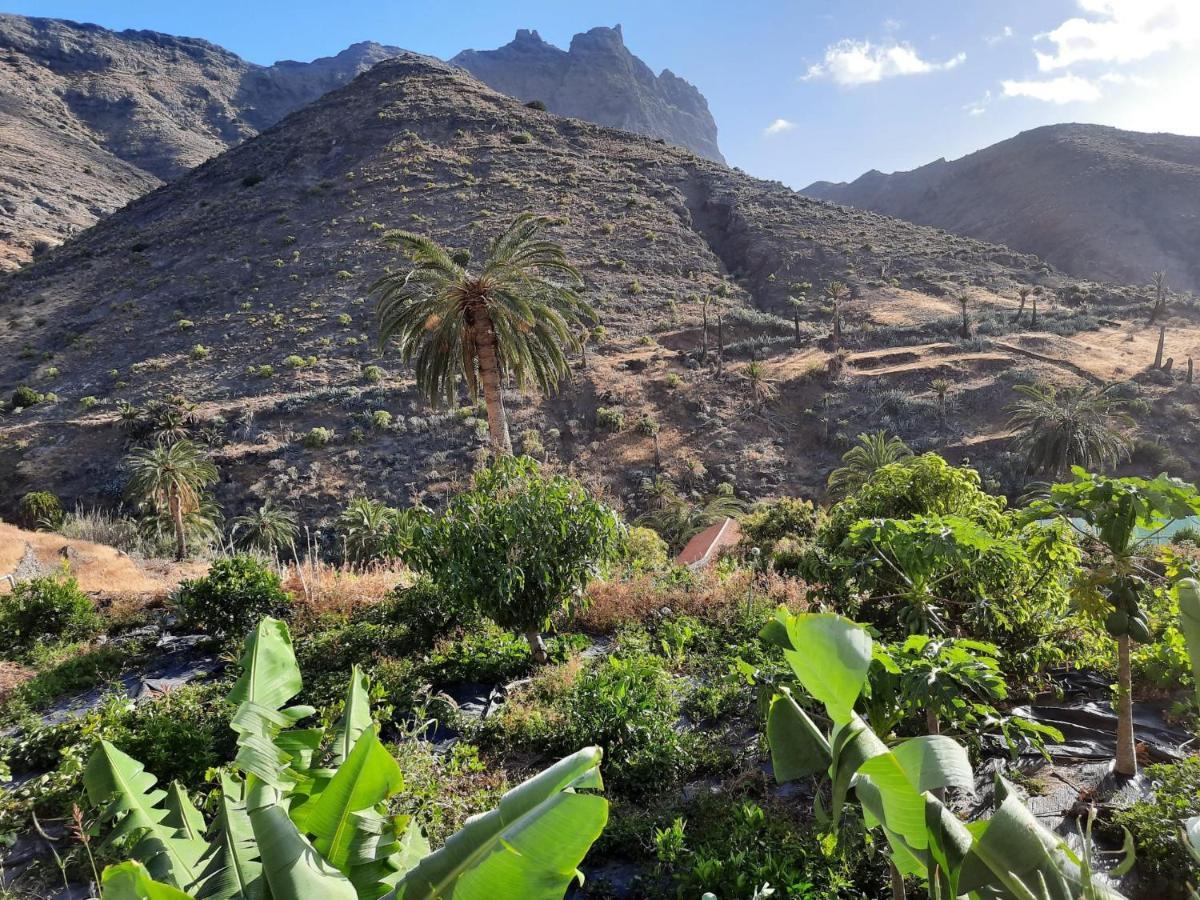 Casa Rural La Vega Alojera Екстер'єр фото