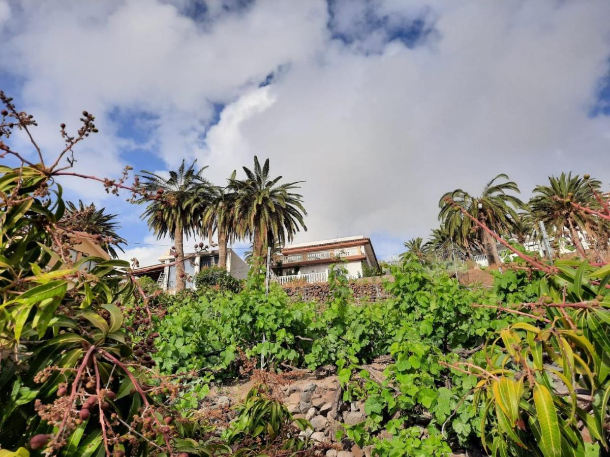 Casa Rural La Vega Alojera Екстер'єр фото